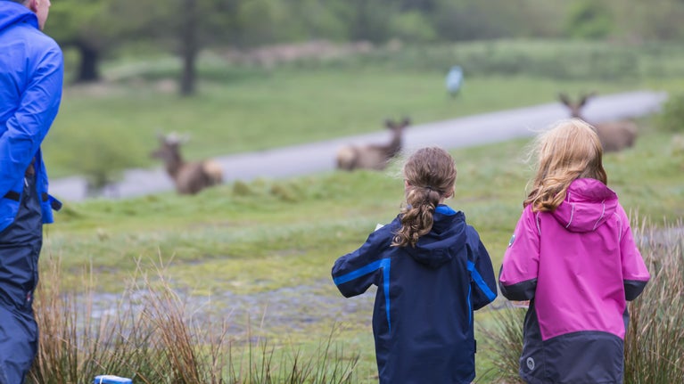 Visitors watching deer on the estate at Lyme Park, Cheshire